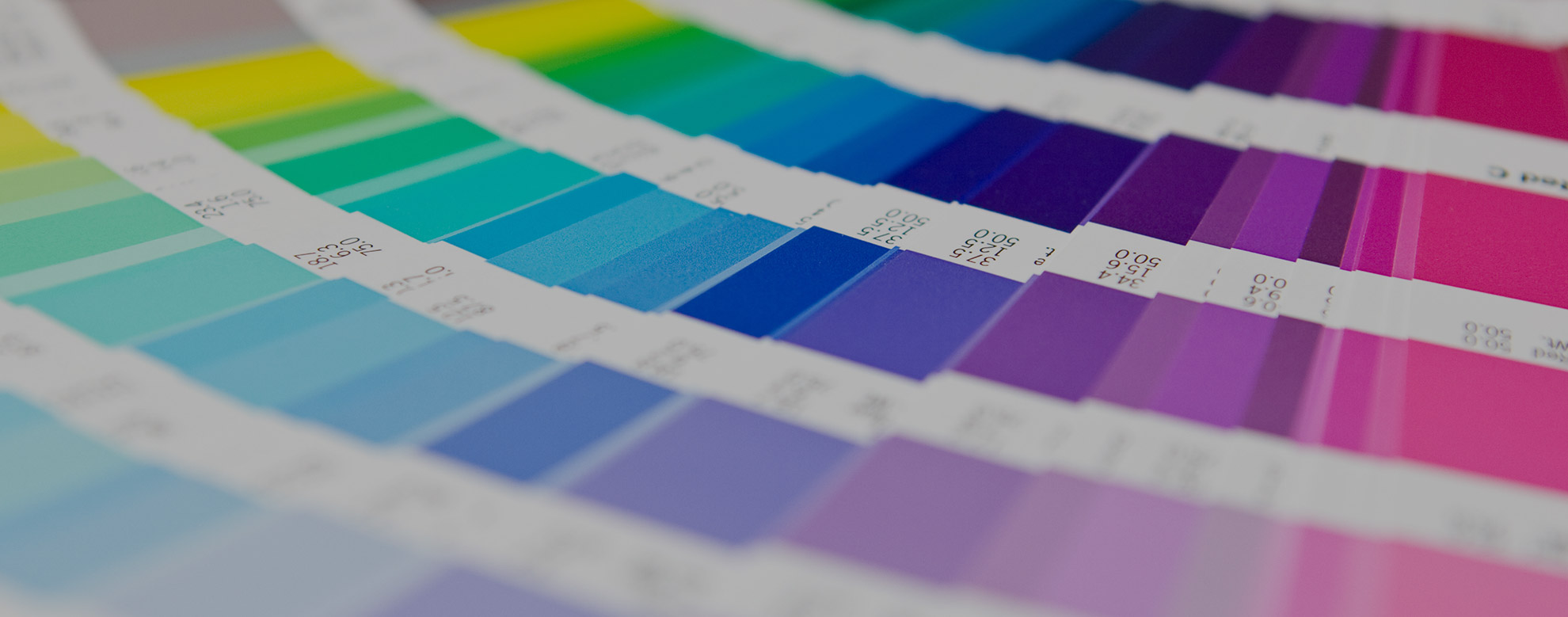 5 tips for choosing a color scheme for your brand