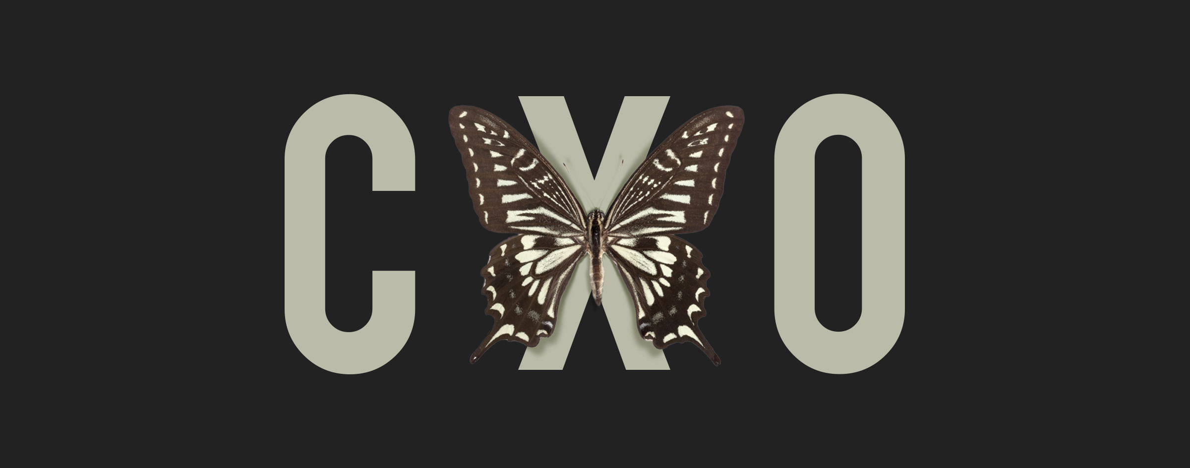 Metamorphosis: From CMO to CXO